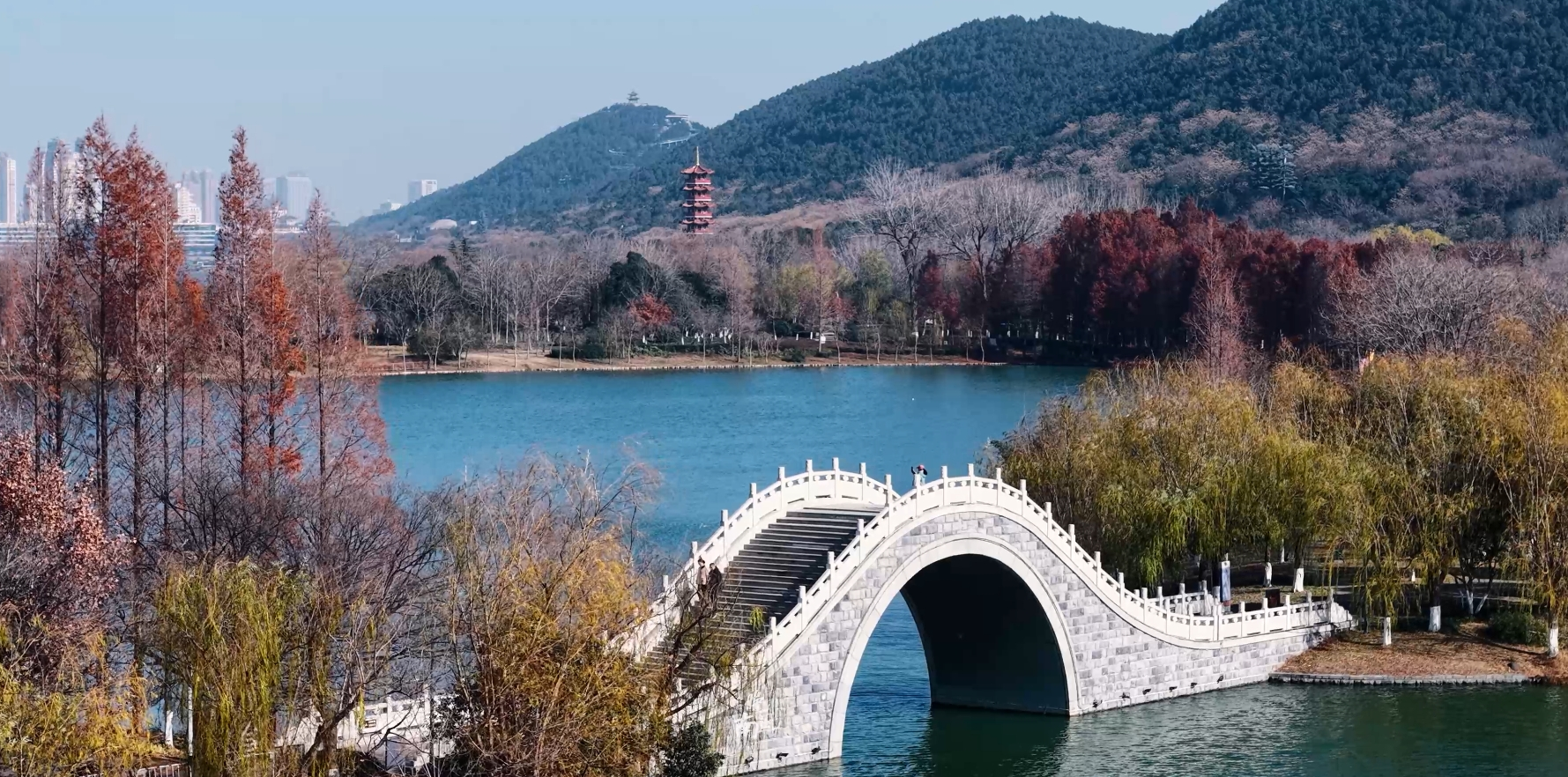 冬日美景
