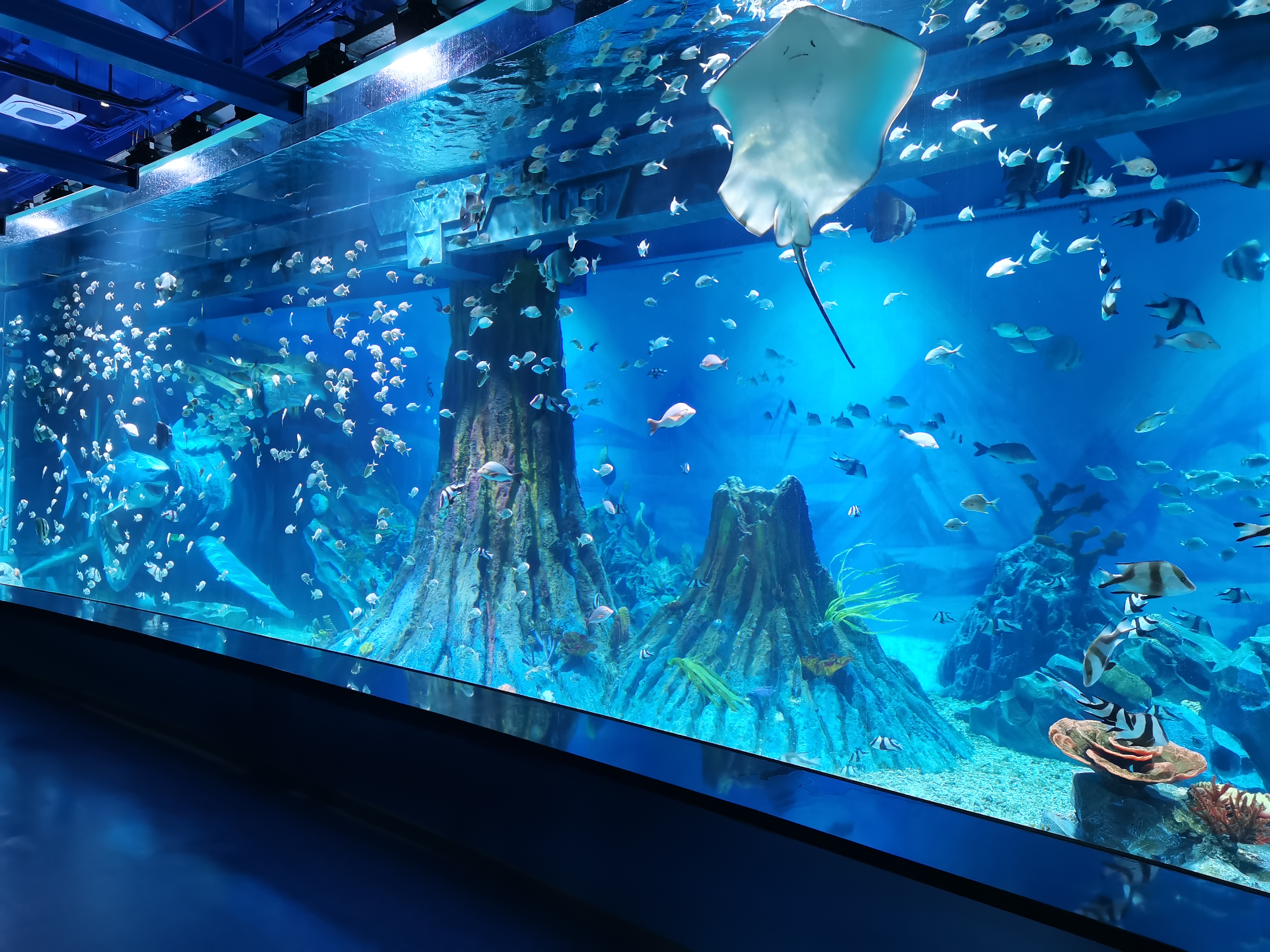 水上世界2.jpg 水上世界2.jpg